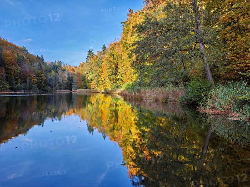 Egelsee in autumn-colored surroundings, Bergdietikon, Canton of Aargau, Switzerland