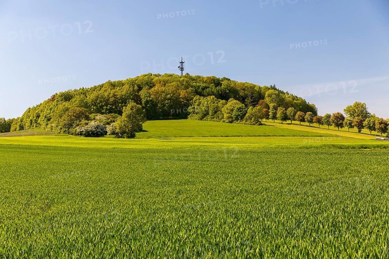 Großer Berg mit Sendemast, Großhennersdorf, Herrnhut, Upper Lusatia, Saxony, Germany