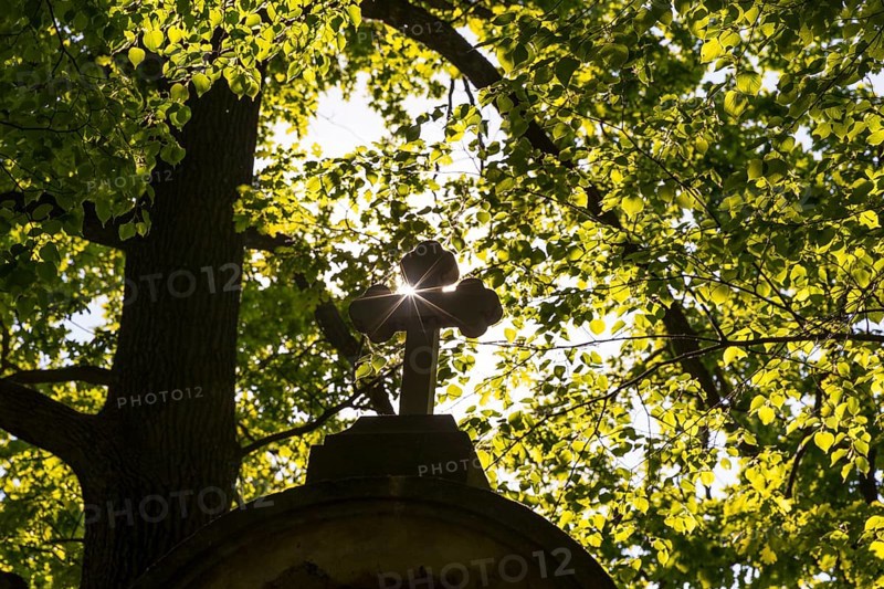 Silhouette of a cross with sun surrounded by trees, St. Marienthal Abbey in Ostritz, Saxony, Germany
