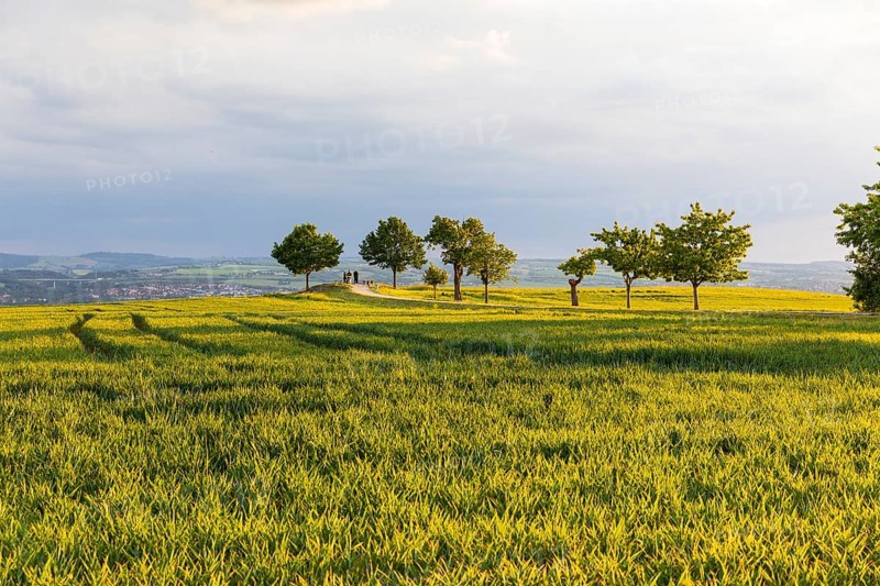 Rockauer Höhe vantage point (Sachsens Hiefel) is located far above the Elbe Valley and offers a view over Dresden and the Elbe Valley as far as the Eastern Ore Mountains, Rockau, Dresden, Saxony, Germany