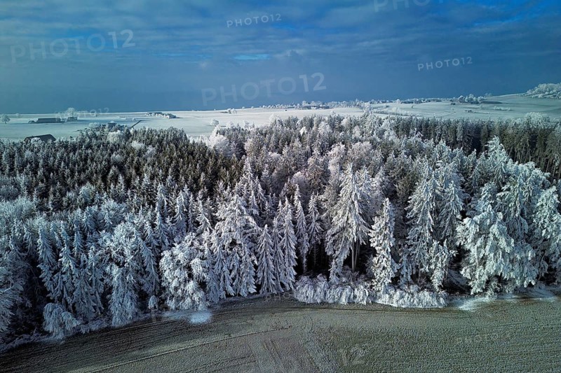 Aerial view of forest in hoarfrost, Horben, Lindenberg, Freiamt, Canton of Aargau, Switzerland