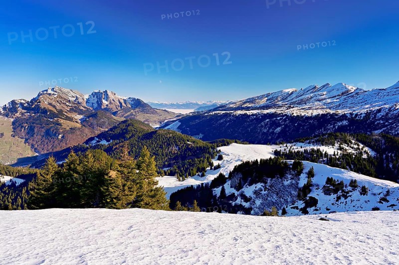 View of snow-covered Säntis and Churfirsten from Gulmen, Amden, Canton of St. Gallen, Switzerland