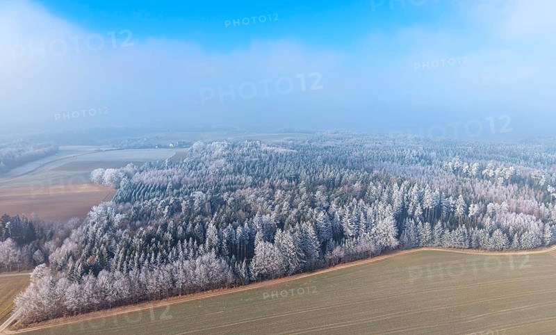 Winter forest aerial view of a mixed forest with spruces, pines, birches and beech trees covered with hoarfrost in winter sun surrounded by meadows and fields, drone photography, Baden-Württemberg, Germany