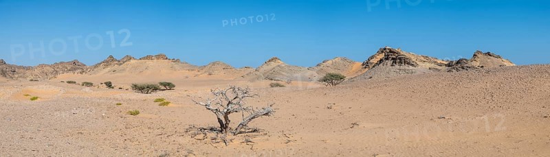 Barren landscape near Duqm, Oman