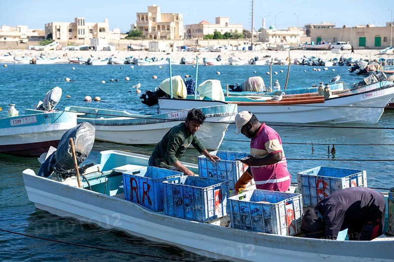 Fishing boats in Mirbat harbour, fish is sorted, Oman