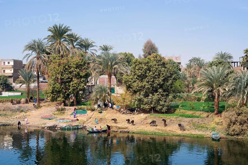 Houses on the banks of the Nile near Luxor, Egypt