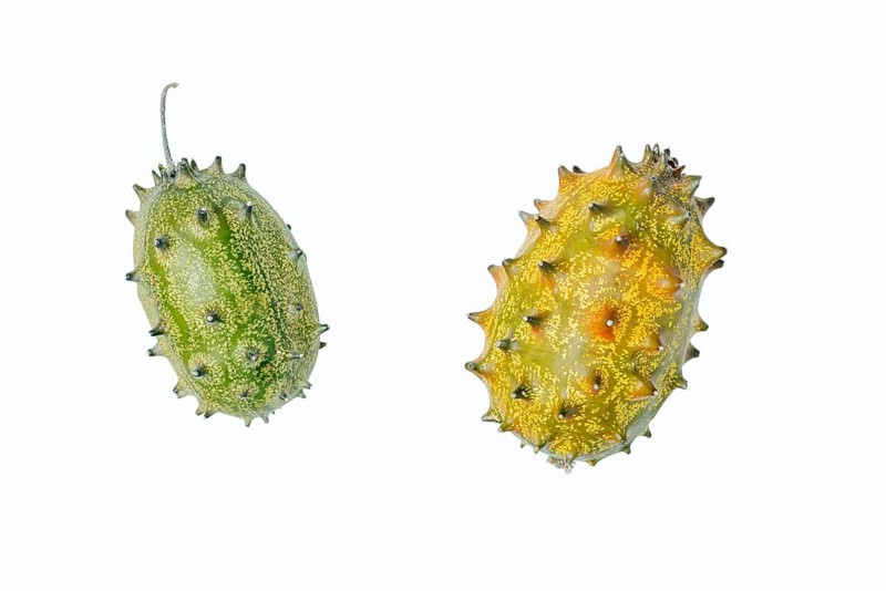 Horned cucumber, kiwano or horned melon (Cucumis metuliferus), fruit on a white background, native to Africa