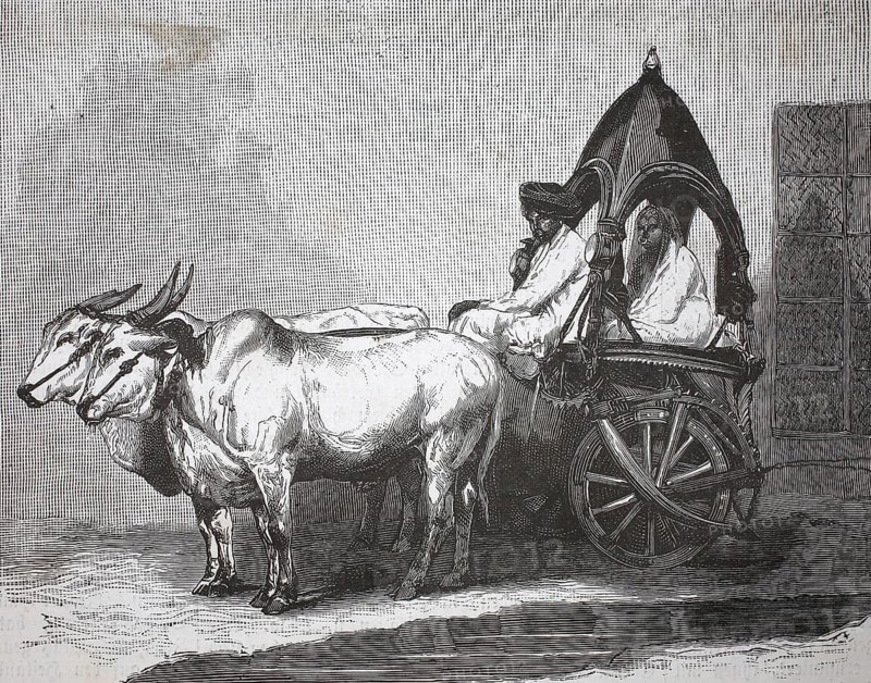Indian touring car, single-axle tractor pulled by two cows, 1880, India, authentic, digitally restored reproduction from a 19th century model, exact date of depiction unknown, historical