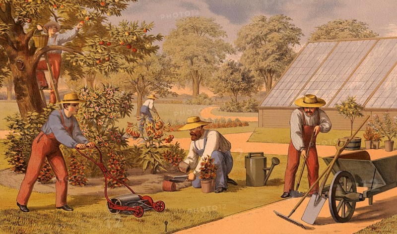 Traditional crafts, gardener at work, horticulture, around 1920, illustration, reproduction from a 19th century model. Authentic, file restored for optimal use, exact date of submission unknown, historical