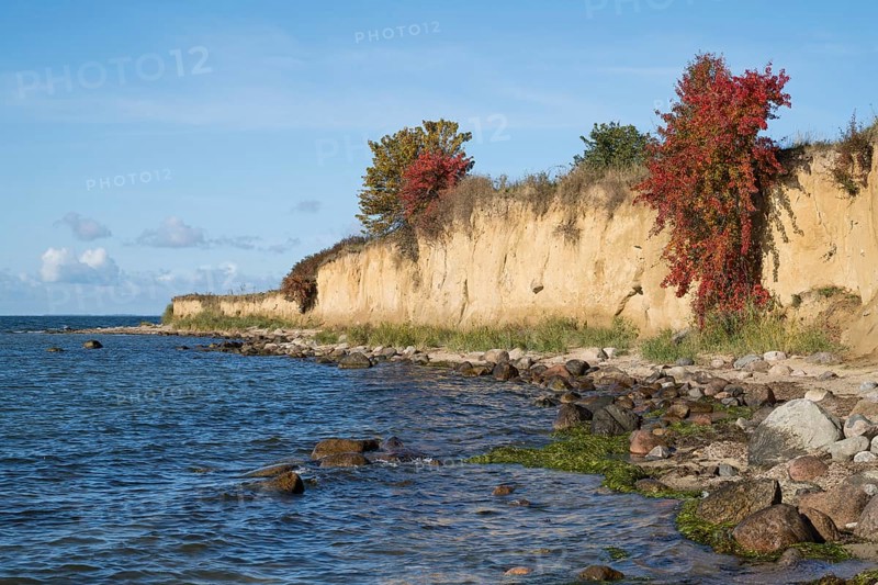Cliffs on the shores of the Baltic Sea, autumn colors, Klein Zicker, Mönchgut, Rügen island, Baltic Sea, Mecklenburg-Western Pomerania, Germany