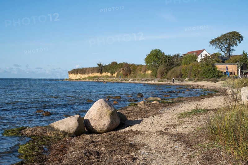 Boulders on the banks of the Saal, cliffs, Klein Zicker, Mönchgut, Rügen island, Baltic Sea, Mecklenburg-Western Pomerania, Germany