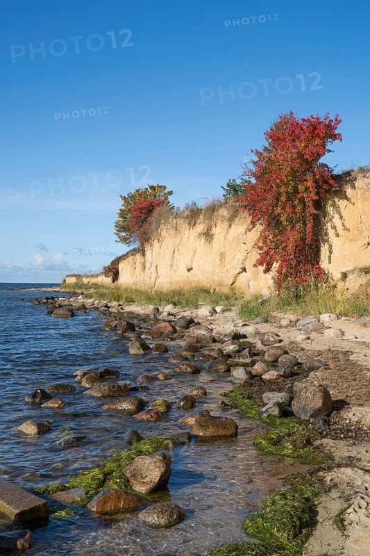Cliffs on the shores of the Baltic Sea, autumn colors, Klein Zicker, Mönchgut, Rügen island, Baltic Sea, Mecklenburg-Western Pomerania, Germany