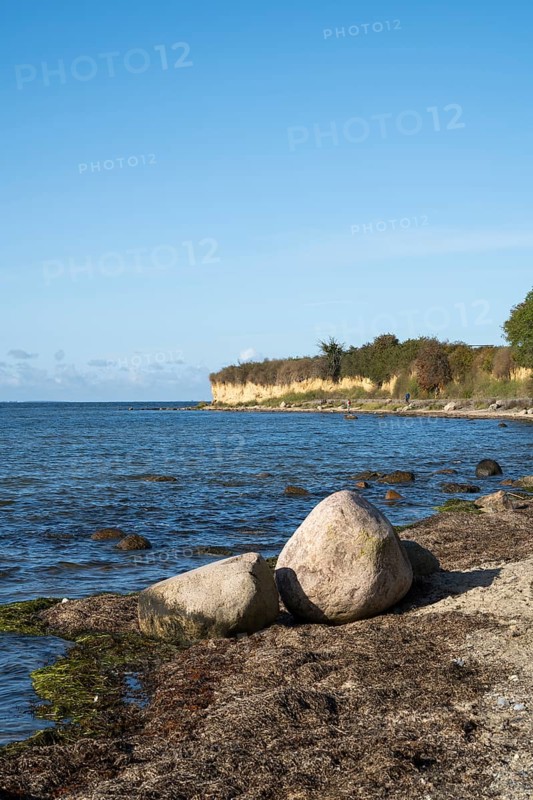 Boulders on the banks of the Saal, cliffs, Klein Zicker, Mönchgut, Rügen island, Baltic Sea, Mecklenburg-Western Pomerania, Germany