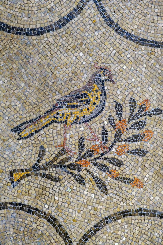 Floor mosaic, Basilica of Santa Maria Assunta of Aquileia, St. Hermagor, Aquileia near Grado, Julian Friuli, Adriatic Sea, Italy