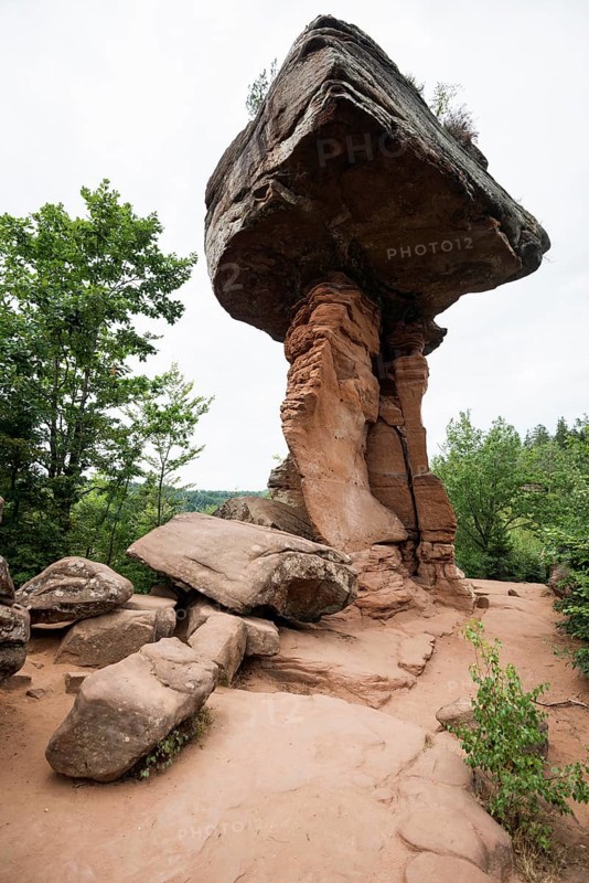 Sandstone rocks, Teufelstisch, near Hinterweidenthal, Dahner Felsenland, Palatinate Forest, Rhineland-Palatinate, Germany