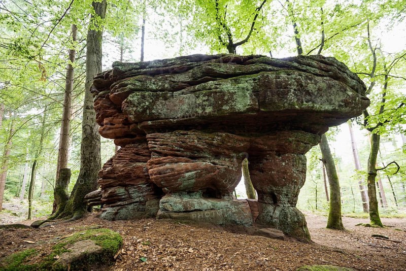 Sandstone rocks, near Hinterweidenthal, Dahner Felsenland, Palatinate Forest, Rhineland-Palatinate, Germany