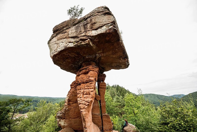 Sandstone rocks, Teufelstisch, near Hinterweidenthal, Dahner Felsenland, Palatinate Forest, Rhineland-Palatinate, Germany