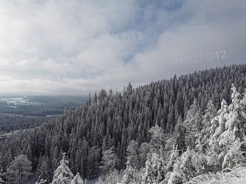 Snowy forest under cloudy sky in a winter landscape, Fichtelgebirge, Germany