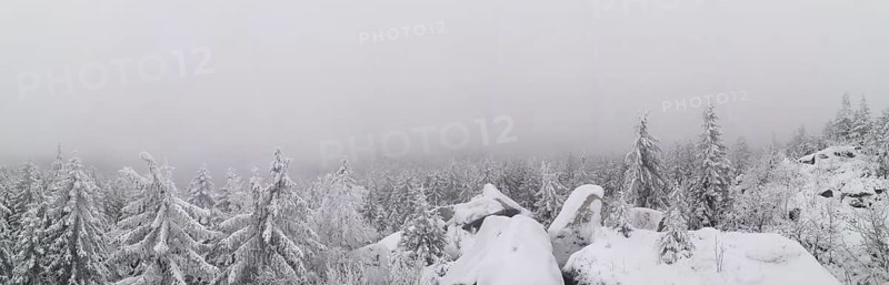 Snowy firs and rocks in a foggy winter landscape, Fichtelgebirge, Germany