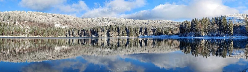 A calm lake with snow-covered trees and a clear reflection of the sky in winter, Scheibe-Alsbach dam, Thuringian Forest, Rennsteig, Thuringia