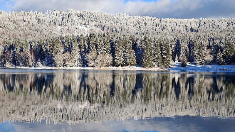 Snowy forest reflected in a quiet lake under a blue sky, Scheibe-Alsbach Reservoir, Thuringia