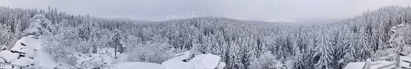 Snowy forest landscape showing thick trees and wide views, Fichtelgebirge, Upper Franconia, Germany