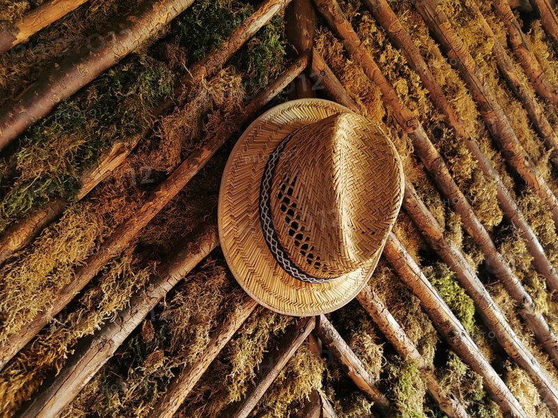 A straw hat hangs from a wooden wall covered with moss, which creates a rustic and natural atmosphere, Rennsteig, Thuringian Forest, Germany
