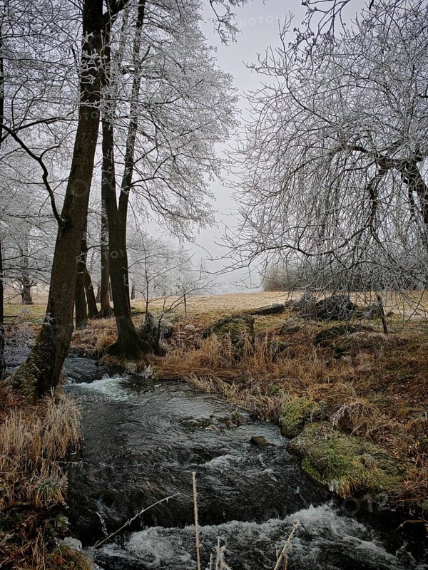Kleiner Bach flows through a wintery, frosty landscape with snow-covered trees, Rennsteig, Frankenwald nature park Park, Germany