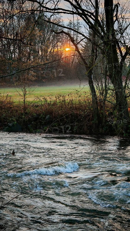 A quiet autumn evening on the river flowing through a forest as the sun sets behind the trees, Frankenwald nature park Park, Germany