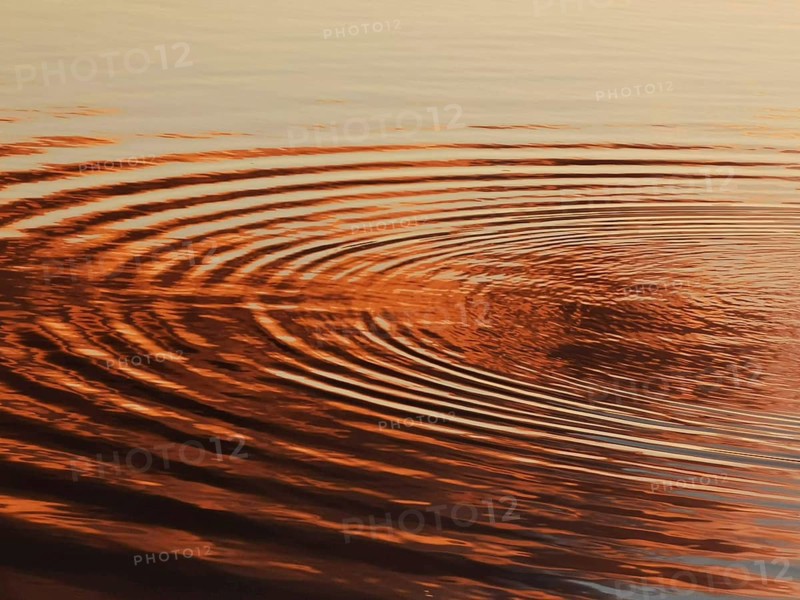 Circular waves on the water surface in warm orange light at sunset, Weissensee, Pankow, Berlin