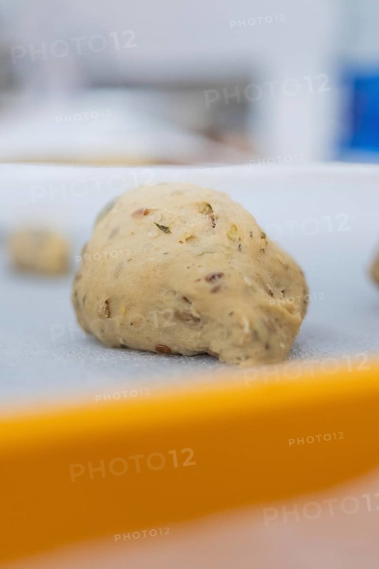 Close-up of an unbaked dough piece on a baking sheet, baking rolls, Haselstaller Hof, Gechingen, Germany