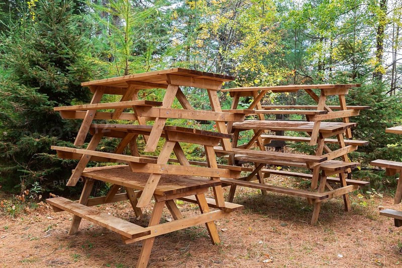 Stacked natural cedar wood picnic tables stored in forest with ground covered with shedded Pinus - Pine tree needles in autumn, Quebec, Canada