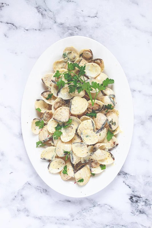 Vongole clams, in cream sauce, on a white plate, homemade, top view, no people