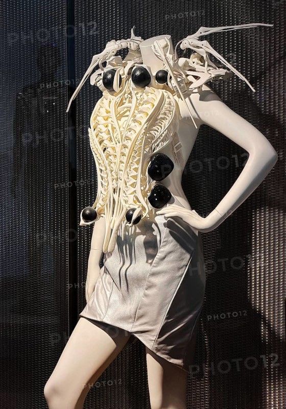 Spider-dress, eccentric, spider-like ecoskeleton as a white dress with AI and defense technology for woman with biofeedback, smart clothing, exhibition, history of the future, Germany