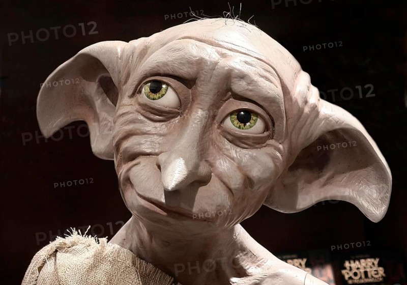 Dobby sculpture, house elf, movie character of Harry Potter in a bookstore, Paderborn, North Rhine-Westphalia, Germany