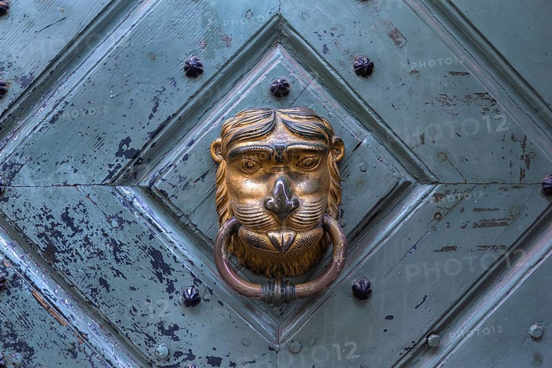 Lion's head as a door knocker at a historic entrance gate, Krakow, Poland