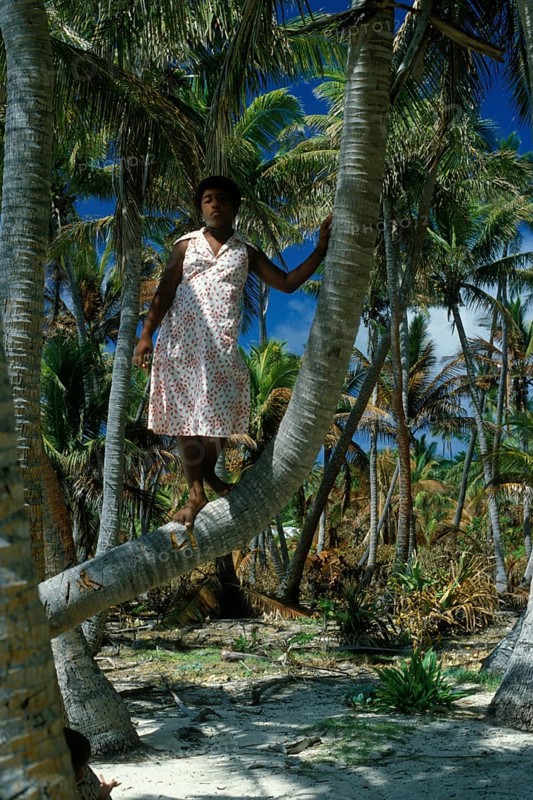 Girl looking at a coconut tree, Tavewa Island, Yasawa archipelago, Fiji
