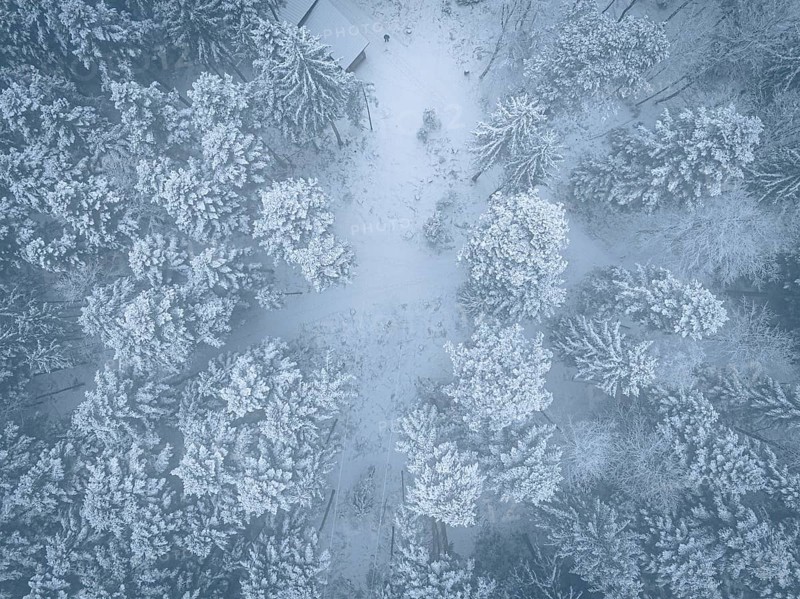 Aerial view of snowy treetops in a frosty forest, Himmelsglück observation tower with flying fox, Schömberg, Black Forest, Germany