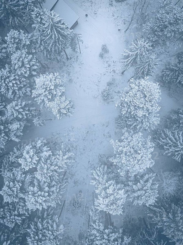 Bird's eye view of snow-covered trees and trails in winter forest, Himmelsglück observation tower with Flying Fox, Schömberg, Black Forest, Germany