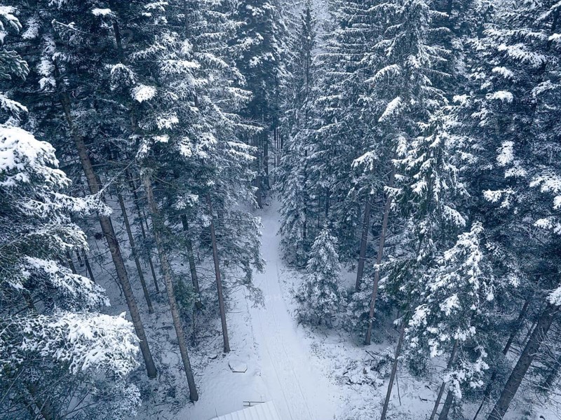 Snowy forest with a secluded path in deep winter, Himmelsglück observation tower with Flying Fox, Schömberg, Black Forest, Germany