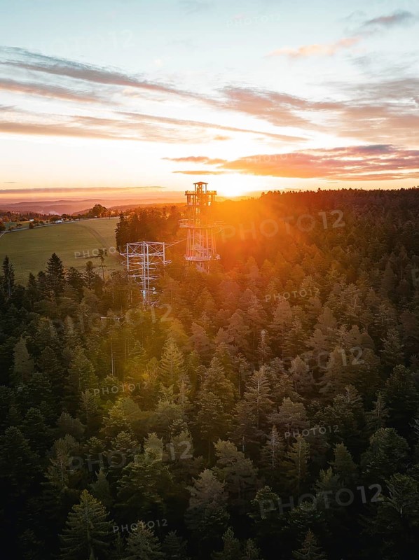 The observation tower rises out of the dense forest at setting sun, Himmelsglück observation tower with Flying Fox, Schömberg, Black Forest, Germany