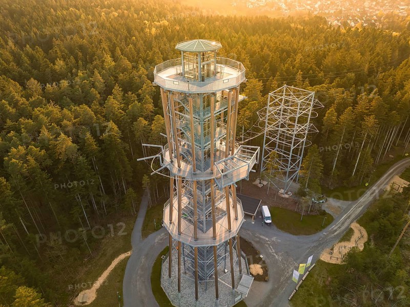 Observation tower in a thick forest with golden light late in the afternoon, Himmelsglück observation tower with flying fox, Schömberg, Black Forest, Germany