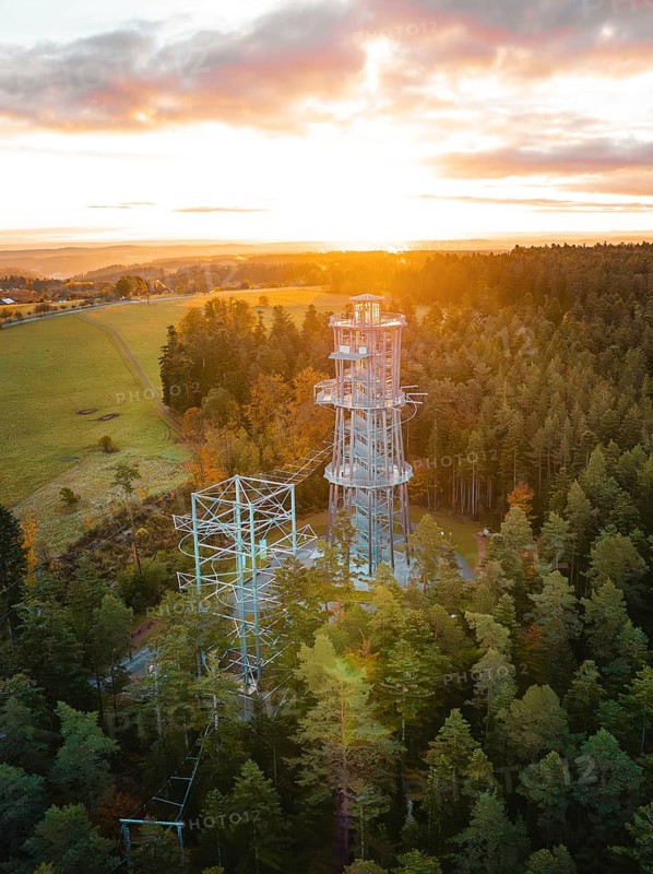 Tower rises above trees early in the morning, Himmelsglück observation tower with Flying Fox, Schömberg, Black Forest, Germany