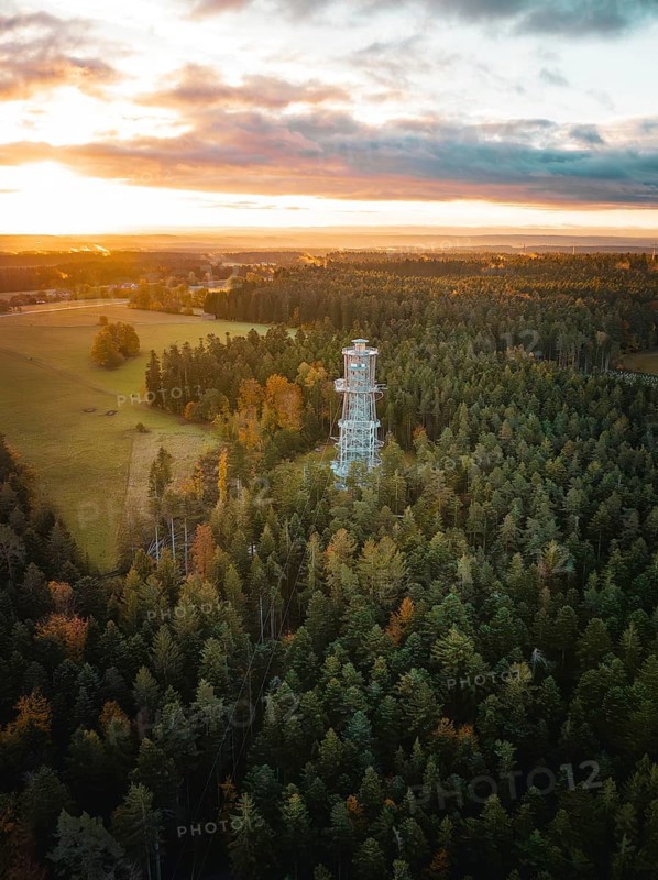Observation tower in the middle of a dense forest at sunset, Himmelsglück observation tower with Flying Fox, Schömberg, Black Forest, Germany