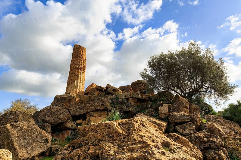 Single column, boulders, olive tree, Temple of Heracles, ruin in the Valley of the Temples, Agrigento, Sicily, Italy