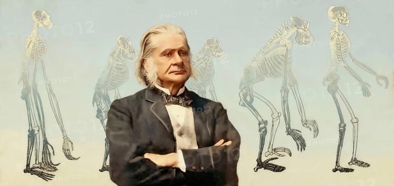 Portrait of Thomas Henry Huxley, 1825 – 1895, English biologist and anthropologist, specialized in comparative anatomy, frontispiece to his book Evidence as to Man's Place in Nature, 1863, digitally edited