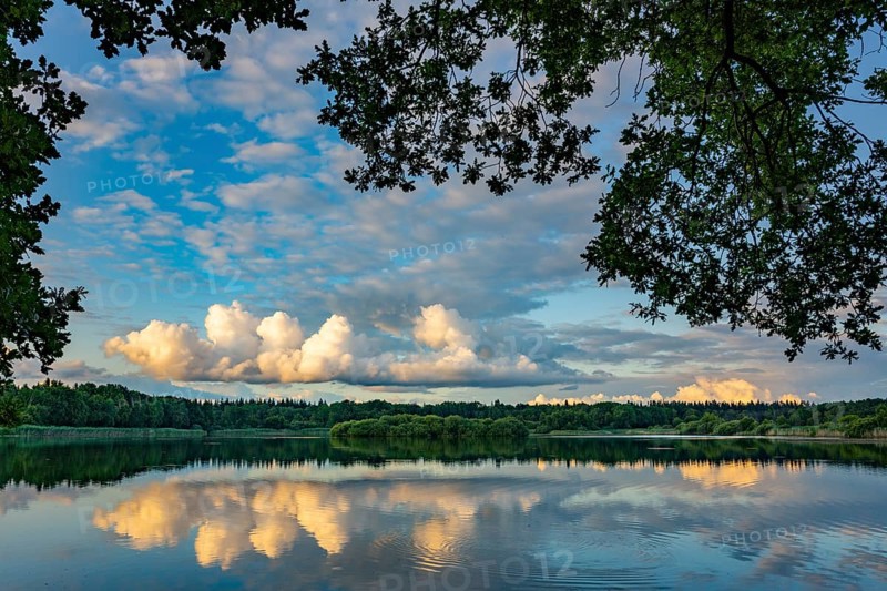 Ahlhorn fishing pond in late summer, Ahlhorn, Lower Saxony, Germany