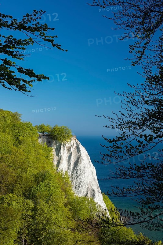 View of chalk cliffs in Jasmund National Park on Rügen, Königsstuhl, Sassnitz, Rügen, Mecklenburg-Western Pomerania, Germany