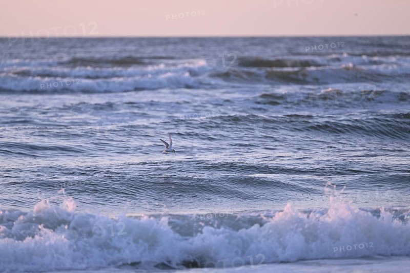 Texel, North Holland, Netherlands