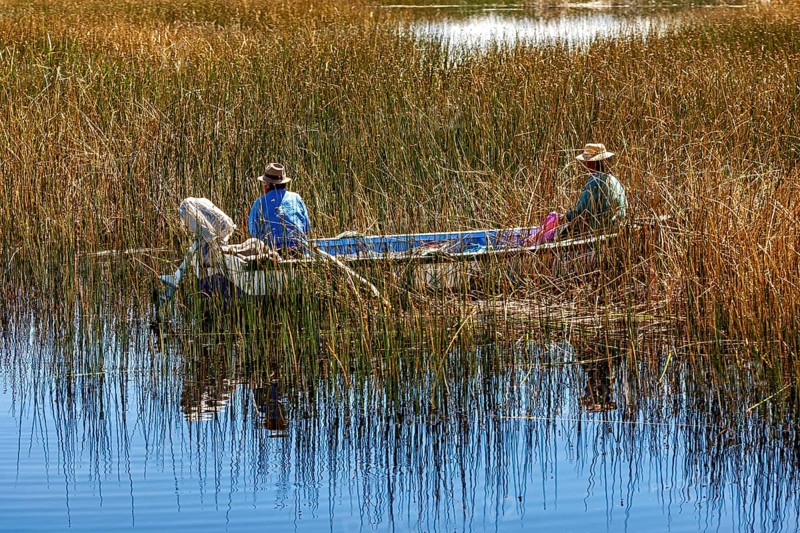 Two fishermen in a boat surrounded by reeds on a calm body of water in a natural setting, The floating reed islands of the Uros in Lake Titicaca in Peru